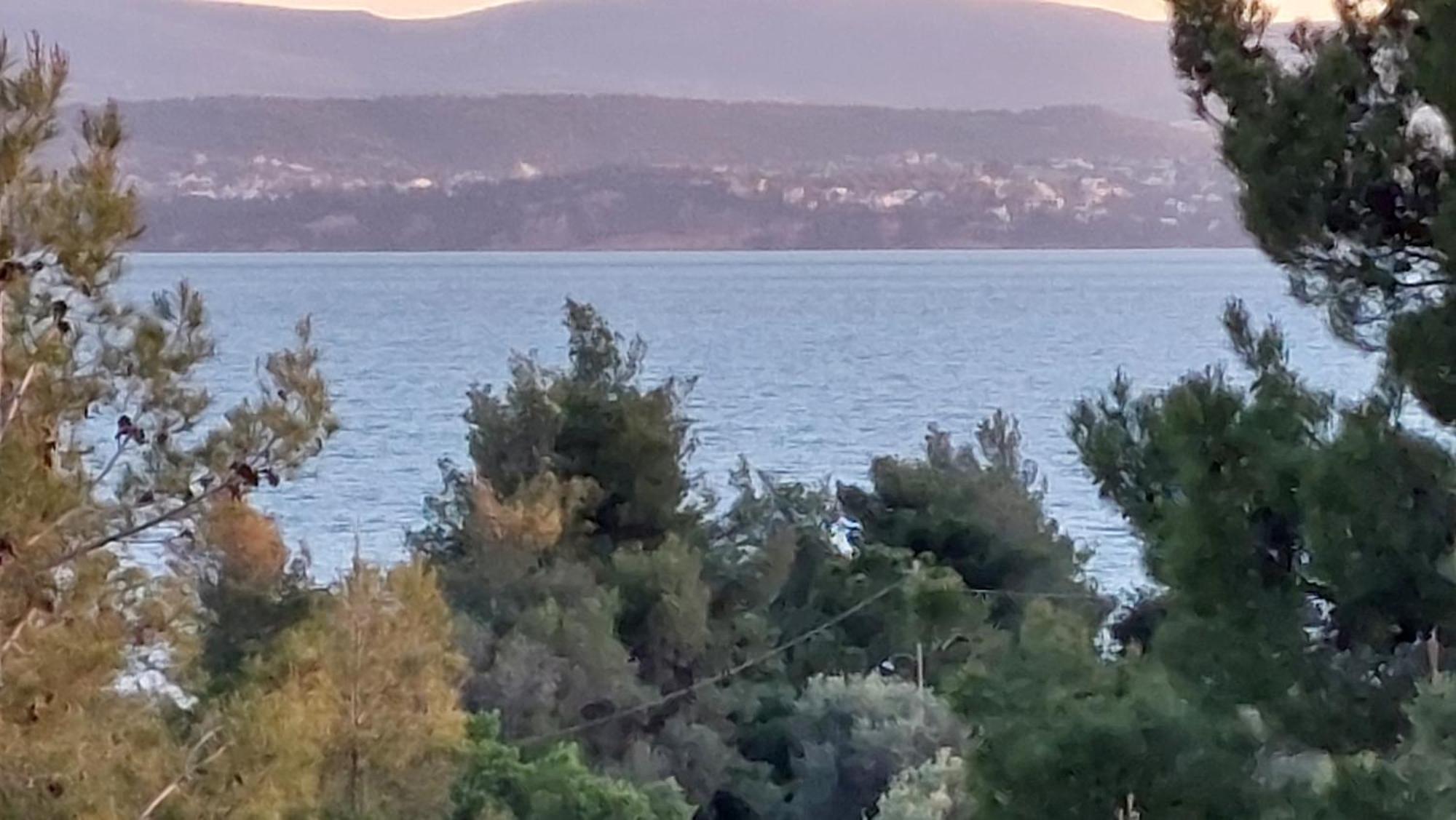 Voula